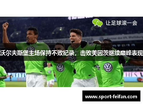 沃尔夫斯堡主场保持不败纪录，击败美因茨继续巅峰表现